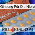 Ginseng Für Die Niere 43